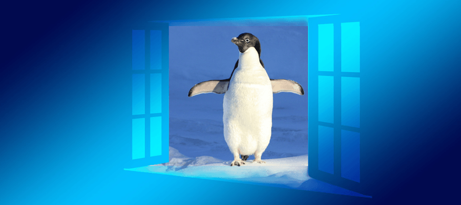 Neues bei Linux und Windows 10